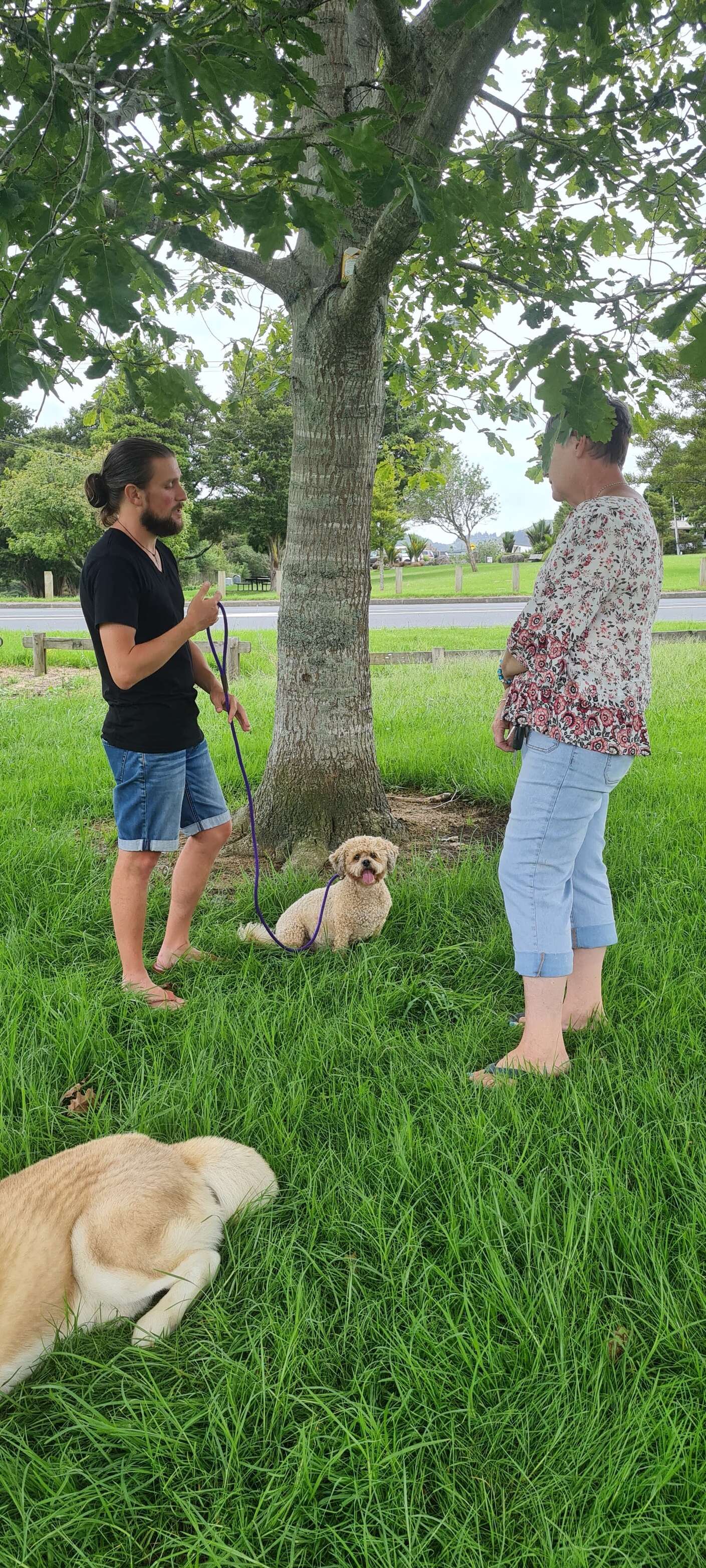 Smart Dog Kennel Training